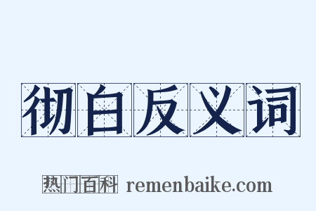 彻白反义词是什么意思的图片